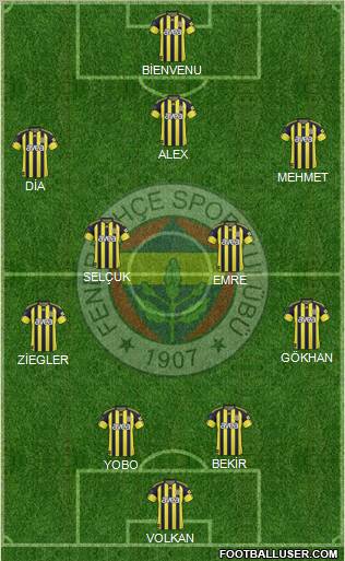 Fenerbahçe SK Formation 2011