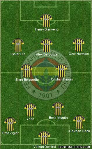Fenerbahçe SK Formation 2011
