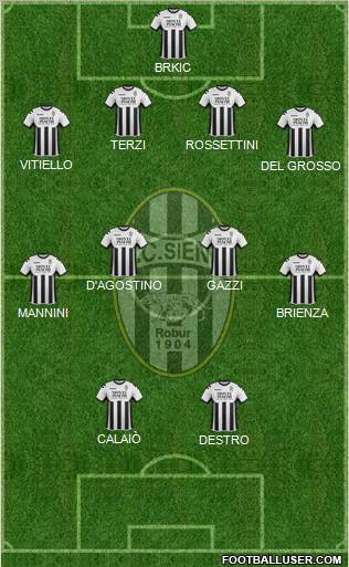 Siena Formation 2011