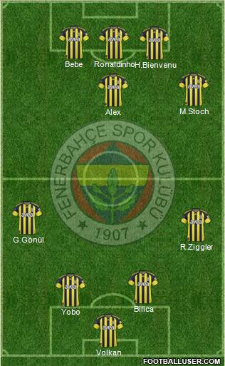 Fenerbahçe SK Formation 2011