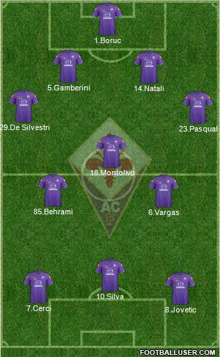 Fiorentina Formation 2011