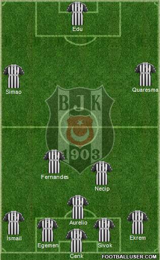 Besiktas JK Formation 2011