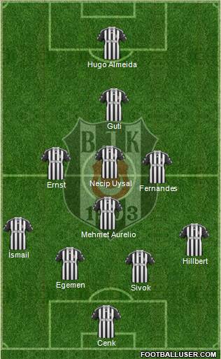 Besiktas JK Formation 2011