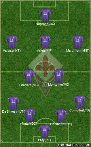 Fiorentina Formation 2011