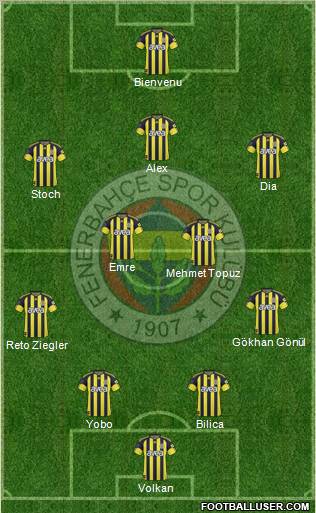 Fenerbahçe SK Formation 2011