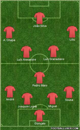 Dream Team Formation 2011