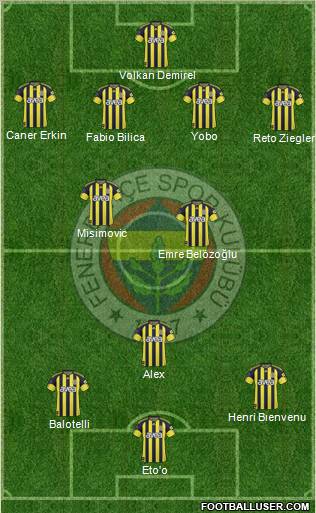 Fenerbahçe SK Formation 2011
