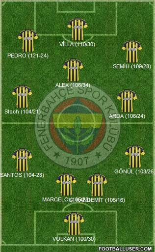 Fenerbahçe SK Formation 2011