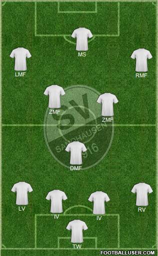 SV Sandhausen Formation 2011