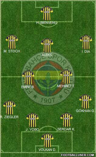 Fenerbahçe SK Formation 2011