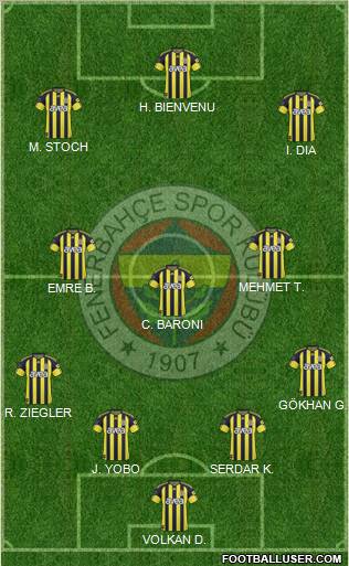 Fenerbahçe SK Formation 2011