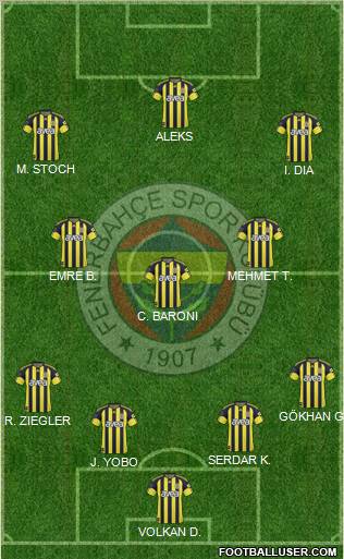 Fenerbahçe SK Formation 2011