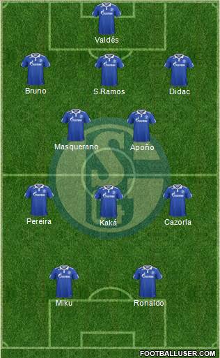 FC Schalke 04 Formation 2011