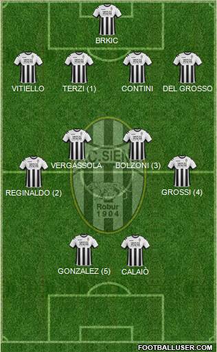 Siena Formation 2011