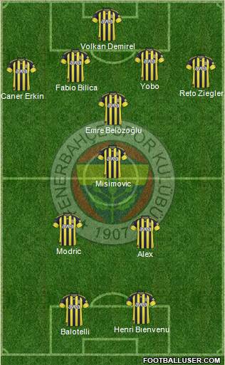 Fenerbahçe SK Formation 2011