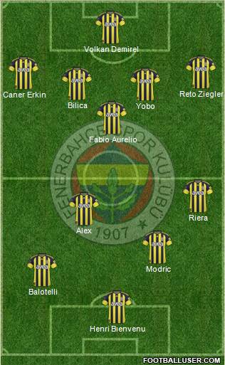 Fenerbahçe SK Formation 2011