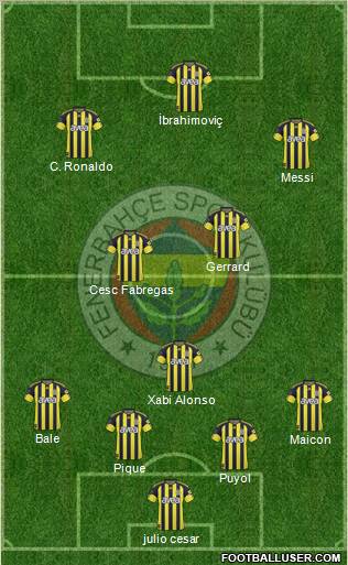 Fenerbahçe SK Formation 2011
