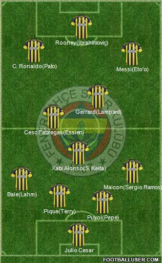Fenerbahçe SK Formation 2011