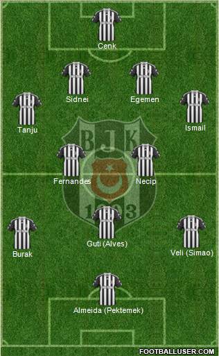 Besiktas JK Formation 2011
