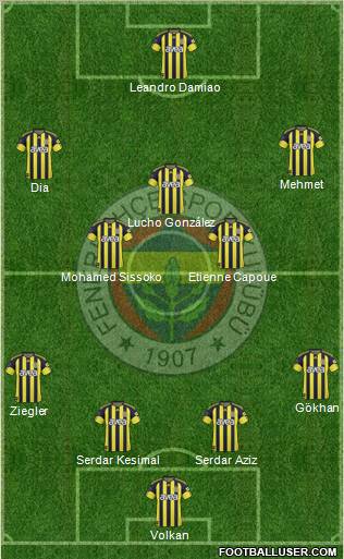Fenerbahçe SK Formation 2011