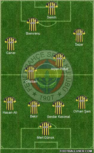 Fenerbahçe SK Formation 2011