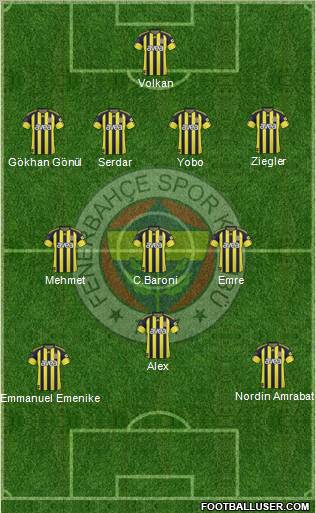 Fenerbahçe SK Formation 2011