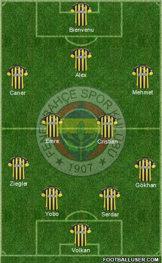 Fenerbahçe SK Formation 2011