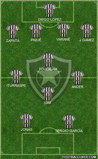 Botafogo FR Formation 2011