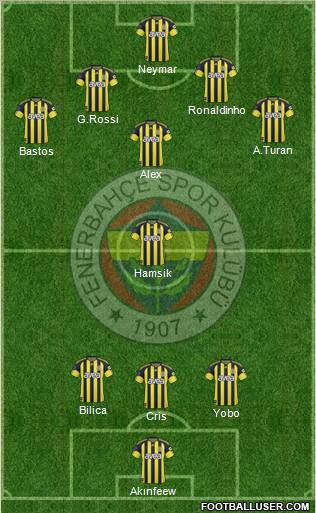 Fenerbahçe SK Formation 2011