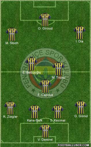 Fenerbahçe SK Formation 2011