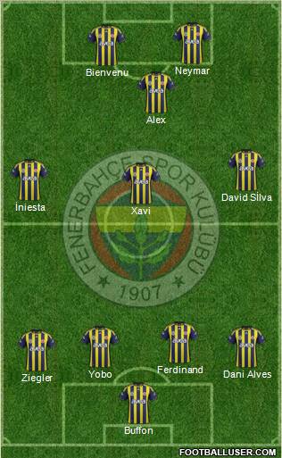 Fenerbahçe SK Formation 2011