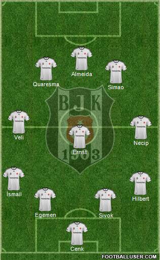 Besiktas JK Formation 2011
