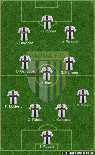 Parma Formation 2011