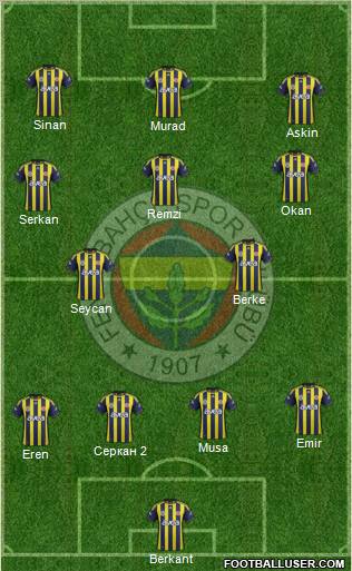 Fenerbahçe SK Formation 2011