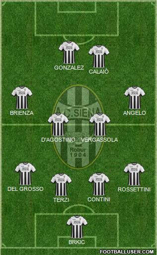 Siena Formation 2011