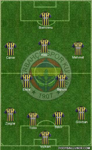 Fenerbahçe SK Formation 2011