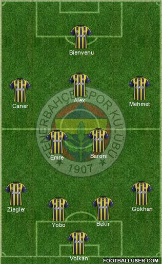 Fenerbahçe SK Formation 2011