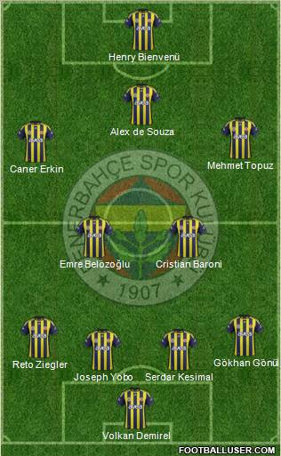 Fenerbahçe SK Formation 2011