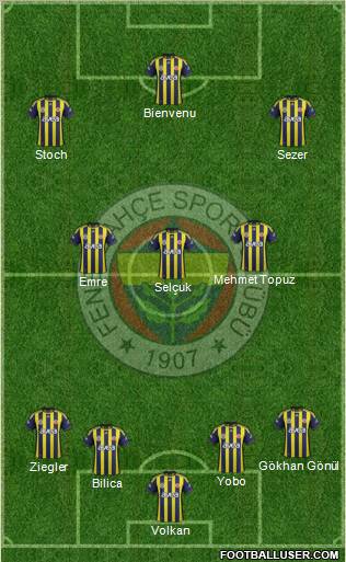 Fenerbahçe SK Formation 2011