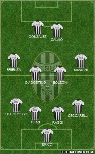 Siena Formation 2011