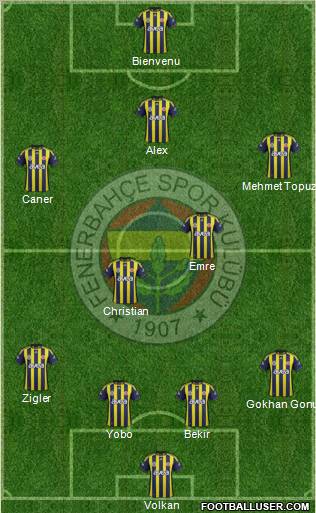 Fenerbahçe SK Formation 2011