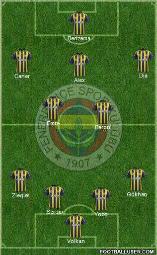 Fenerbahçe SK Formation 2011