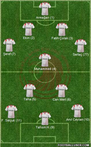 Kartalspor Formation 2011