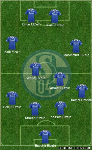 FC Schalke 04 Formation 2011