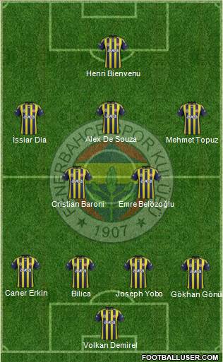 Fenerbahçe SK Formation 2011