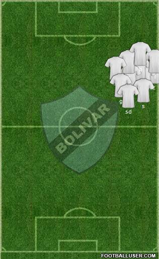C Bolívar Formation 2011