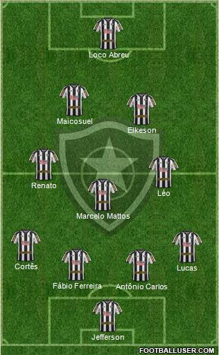 Botafogo FR Formation 2011
