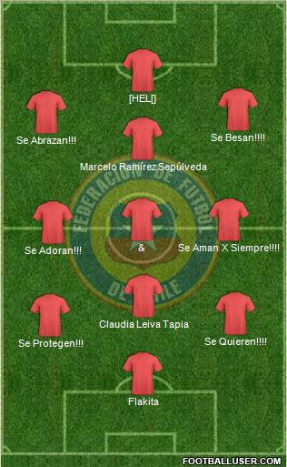 Chile Formation 2011