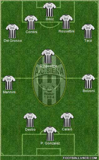 Siena Formation 2011