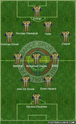 Fenerbahçe SK Formation 2011